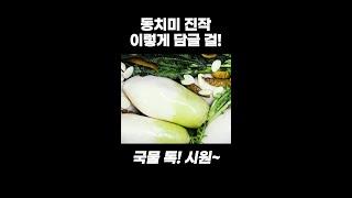 톡 쏘고 시원한 동치미 맛있게 담는 법 절대 실패 없이 누구나 맛있습니다