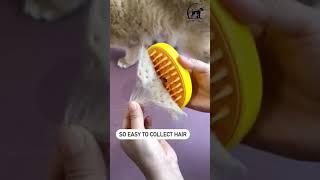Unravel a purr-fect grooming session with our 3-in-1 Steam Brush