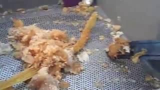 Extracting Honey on the Cheap