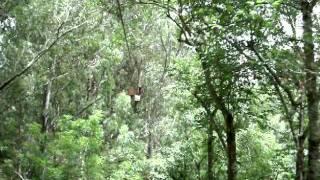 Piiholo Ranch Maui Zipline