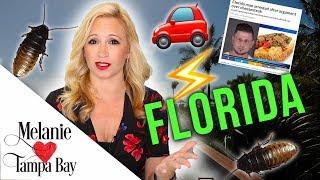 Worst Things About Living in Florida  Bugs, Severe Weather, Crazy News | MELANIE ️ TAMPA BAY