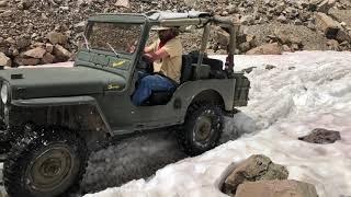 Vintage Willys Jeeps on Pearl Pass Colorado July 2020