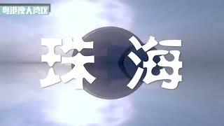 “9+2城市群”共謀發展大灣區   The nine cities and two special zones will jointly develop the Greater Bay Area