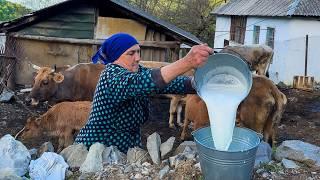 The Harsh But Happy Life of an Elderly Couple in an Old Village Far from Civilization