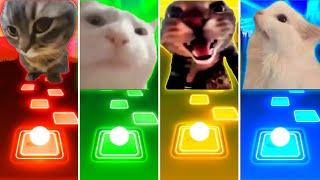 Chipi Chipi Chapa Chapa Cat vs Vibing Cat vs Doorbell Cat vs Coffin Dance Cat - Tiles Hop EDM Rush