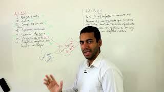 TRAFFIC LAW COURSE - PENALTIES WITH PAULO ANDRE CIRINO