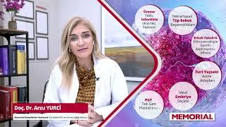 Doç. Dr. Arzu Yurci - Memorial Bahçelievler Hastanesi Tüp Bebek (IVF) ve Üreme Sağlığı Merkezi