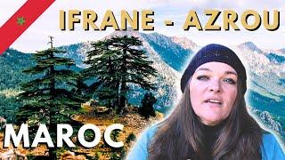  IFRANE and ARZOU- Another MOROCCO THE LARGEST Cedar forest in the WORLD