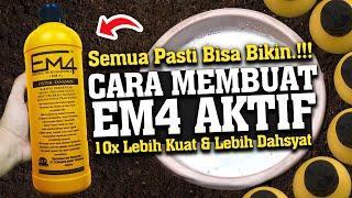 RAHASIA MEMBUAT BIOAKTIVATOR PUPUK ORGANIK 10 KALI LEBIH KUAT - EM4 AKTIF / BOKASHI BERBUAH LEBAT