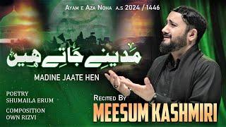 New Noha 2024 | Meesum Kashmiri | Madine Jate Hen | Arbaeen Noha | Bibi Zainab Noha | Madina Noha