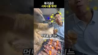북극곰은 사육사를 찢어!