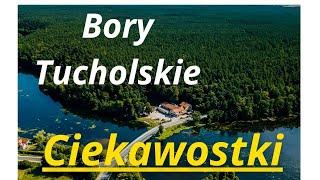 Bory Tucholskie - Jedno z Najpiękniejszych Miejsc w Polsce! Park Narodowy i Rezerwat Przyrody.