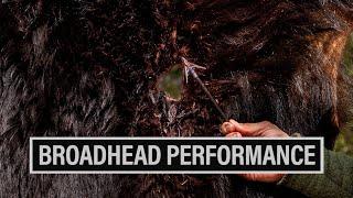 BROADHEAD PERFORMANCE | WHAT WE ARE USING FOR 2024 ️ EP. 846