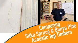 Comparing Sitka Spruce & Australian Bunya Pine Acoustic Guitar Top Timbers