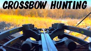 CROSSBOW HUNTING! BUCK FALLS OVER ON VIDEO