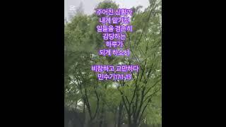 원망을 그치고…#김희윤목사#설교말씀 #베이직교회 #성경 #민수기 #좋은생각 #좋은글 #좋은말 #감사 #인생 #비오는소리 #비오는날 #소이작업실#오늘의기도