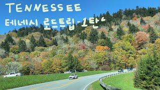  테네시 여행 | 그레이트 스모키 마운틴 | 짚라인 | Great Smoky Mountains | Zipline