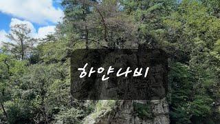 #하얀나비 #조관우 #경희색소폰 #곡관소프라노  #연주