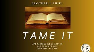 Tame It - Brother Phiri - 30/10/2024