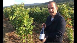 Inventa le Roc : An iconic red Luberon wine from Marrenon