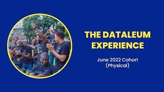 The Dataleum Experience!