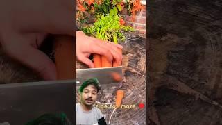 Caret cutting easily #vegetables #garden #gardening #prajapati #tomato #satisfying #tech #nature