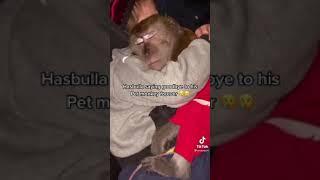 Hasbulla saying goodbye to his pet monkey ️