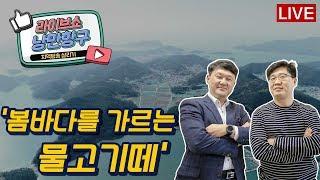 [LIVE]낭만항구 '봄바다를 가르는 물고기떼'