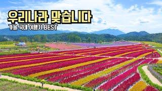 10월 국내 여행 추천 우리나라 맞아? 아름다운 가을 여행 명소 추천 BEST #국내여행 #여행추천