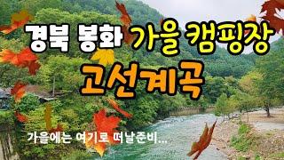  와~봉화에 원시림계곡이... | 가을캠핑은 여기다