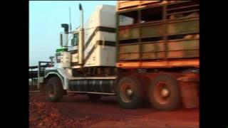 Cattle Lift at VRD