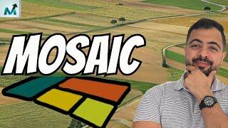 سهم Mosaic | بعد تراجعات كبيرة هل تعود أسهم القيمة الى الارتفاع