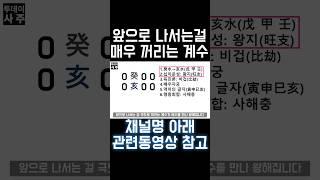 계해일주 특 #사주 #팔자 #사주팔자 #일주론 #계해일주 #2024년 #갑진년 #왕지 #십이운성