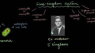 Systems of Classification | Biological Classification | Biology | Khan Academy