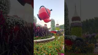 Beautiful Natural Flowers Miracle Garden Dubai #dxbramjivlogs #miraclegarden #dubai #love