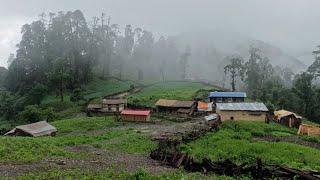 Naturally Most Beautiful Village Life into Rainy Day||Best Rural Life in Barekot Village||