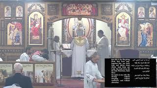 St Luke ACOC Live Stream