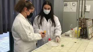 ESERCITAZIONE nel LABORATORIO di CHIMICA e SCIENZE NATURALI