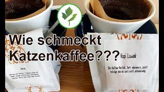 Kopi Luwak Test - Wie schmeckt der teuerste Kaffee? #Katzenkaffee