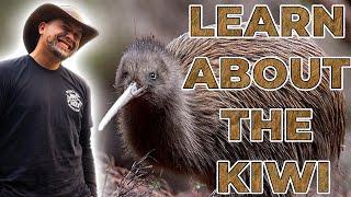 The Kiwi Rangers of The West Coast!