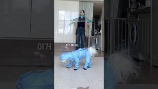 강아지랑 테무깡