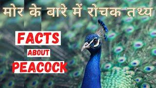 मोर के बारे मे रोचक जानकारी | Top 15 Interesting Facts about Peacock | In Hindi