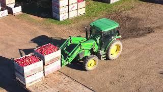 Kimberlee Farms Apple Harvest 4K