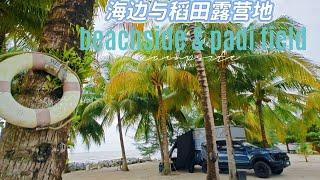 稻田与海边露营地 | 马来西亚车旅 |车露营地 beach&padi field campsite #kedahcampsite #campertruck #malaysiaroadtrip