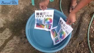 DYE Versus PIGMENT