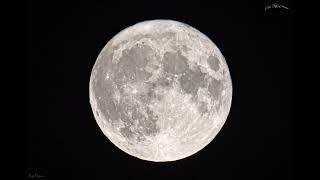 Full Moon ~ 14.07.2022 ~ Wolfs Howling