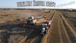 ŻNIWA NA WIELKĄ SKALĘ 2024 !  6 KOMBAJNÓW NA POLU  NOWY NABYTEK!?...