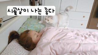 마라탕먹는 살오른 시골 집순이/ 50대 라이프 일상 브이로그 /시골집순이 생활 /대파키우기/상품촬영/240223 ㅣ