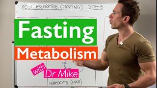 Fasting - What does it do to your body?