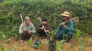 Poor boy - Help uncle with gardening - Take care of the farm
